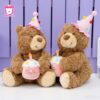 Gấu Bông Lazy Ôm Bánh Sinh Nhật